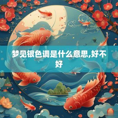 梦见银色调是什么意思,好不好