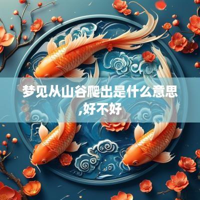 梦见从山谷爬出是什么意思,好不好