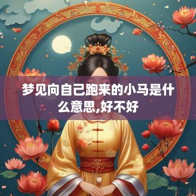 梦见向自己跑来的小马是什么意思,好不好