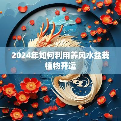 2025年如何利用养风水盆栽植物开运