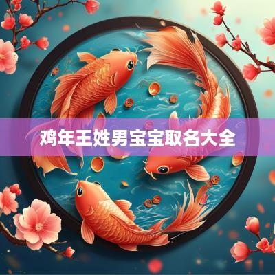 鸡年王姓男宝宝取名大全