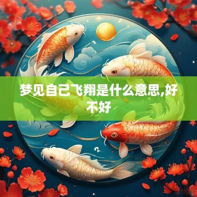 梦见自己飞翔是什么意思,好不好