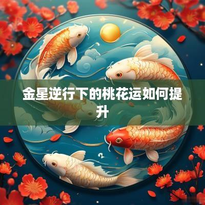 金星逆行下的桃花运如何提升