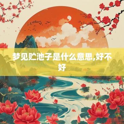 梦见贮池子是什么意思,好不好