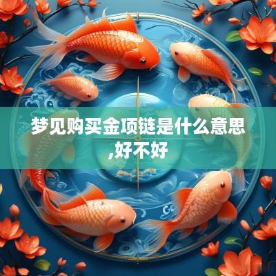 梦见购买金项链是什么意思,好不好