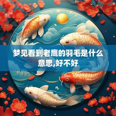 梦见看到老鹰的羽毛是什么意思,好不好