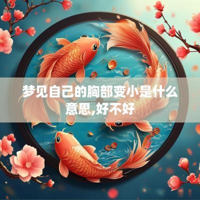 梦见自己的胸部变小是什么意思,好不好