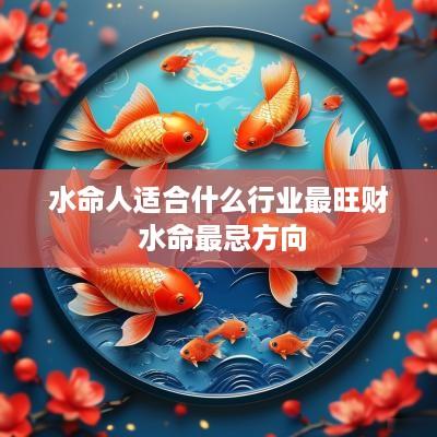 水命人适合什么行业最旺财 水命最忌方向