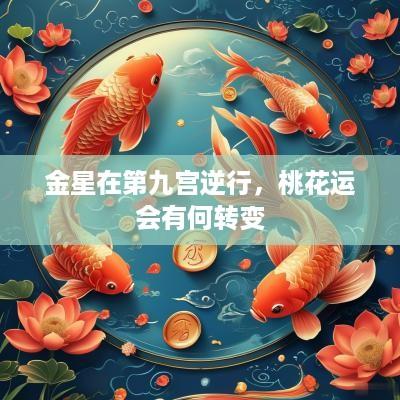 金星在第九宫逆行，桃花运会有何转变