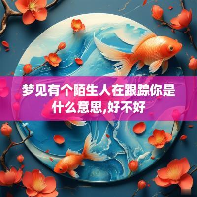 梦见有个陌生人在跟踪你是什么意思,好不好