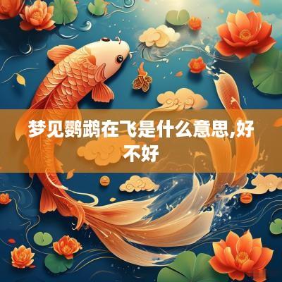 梦见鹦鹉在飞是什么意思,好不好