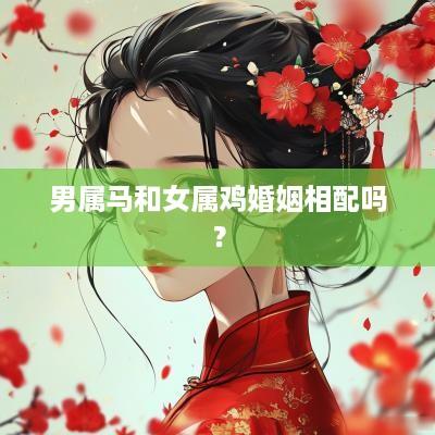 男属马和女属鸡婚姻相配吗？