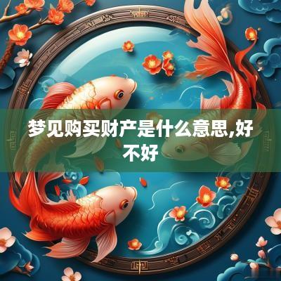 梦见购买财产是什么意思,好不好
