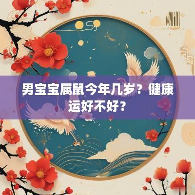 男宝宝属鼠今年几岁？健康运好不好？