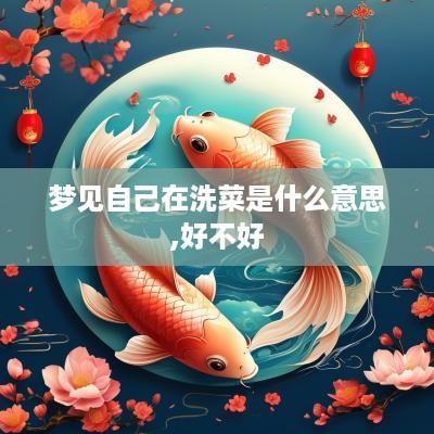 梦见自己在洗菜是什么意思,好不好
