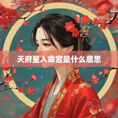 天府星入命宫是什么意思