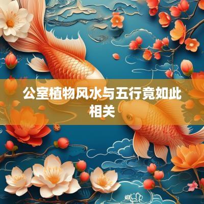 公室植物风水与五行竟如此相关