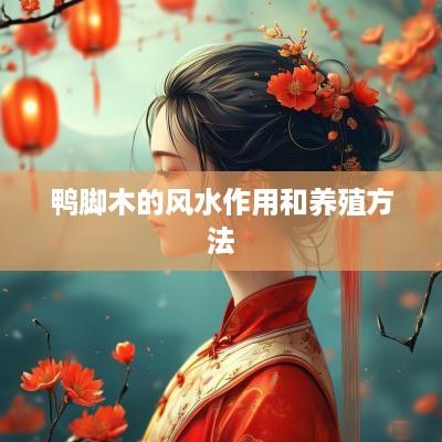 鸭脚木的风水作用和养殖方法