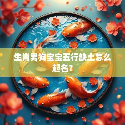生肖男狗宝宝五行缺土怎么起名？