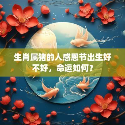 生肖属猪的人感恩节出生好不好，命运如何？