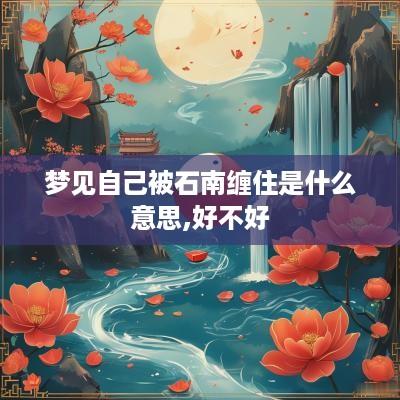 梦见自己被石南缠住是什么意思,好不好