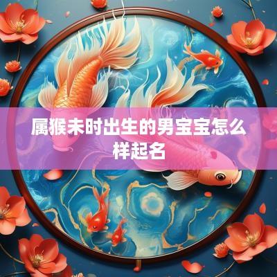 属猴未时出生的男宝宝怎么样起名