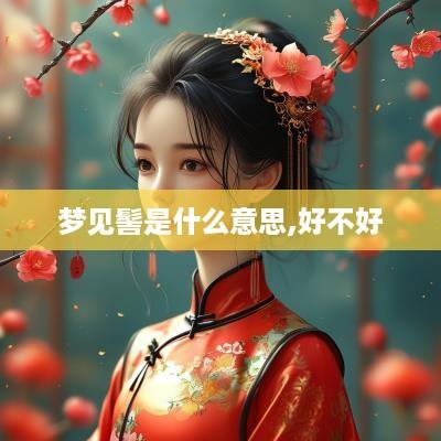 梦见髻是什么意思,好不好