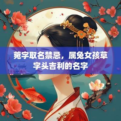 菀字取名禁忌，属兔女孩草字头吉利的名字