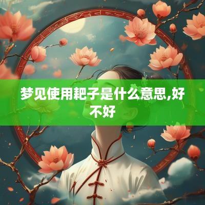 梦见使用耙子是什么意思,好不好