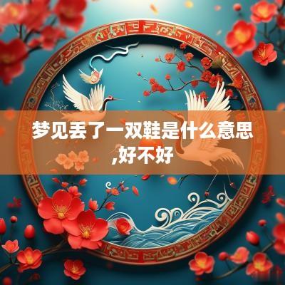 梦见丢了一双鞋是什么意思,好不好