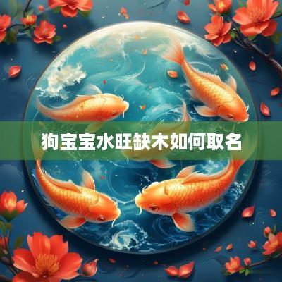狗宝宝水旺缺木如何取名