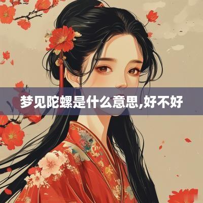 梦见陀螺是什么意思,好不好