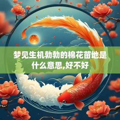 梦见生机勃勃的棉花苗地是什么意思,好不好