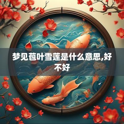 梦见苞叶雪莲是什么意思,好不好