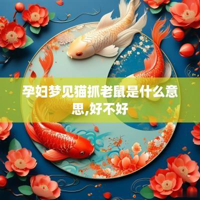 孕妇梦见猫抓老鼠是什么意思,好不好