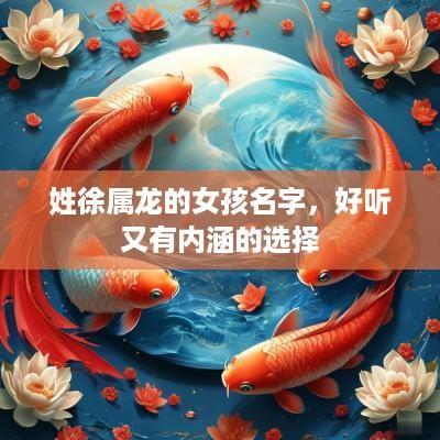 姓徐属龙的女孩名字，好听又有内涵的选择