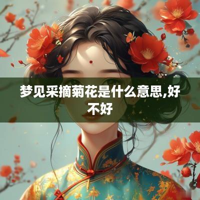 梦见采摘菊花是什么意思,好不好