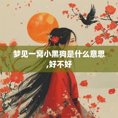 梦见一窝小黑狗是什么意思,好不好