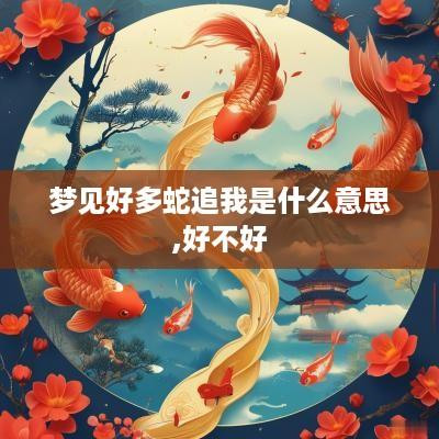 梦见好多蛇追我是什么意思,好不好
