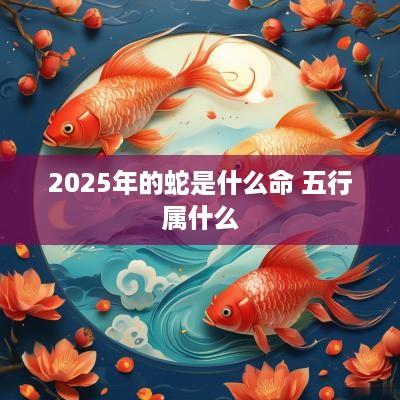 2025年的蛇是什么命 五行属什么