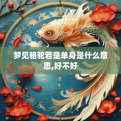 梦见骆驼若是单身是什么意思,好不好