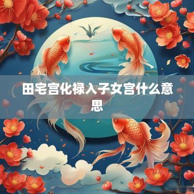 田宅宫化禄入子女宫什么意思