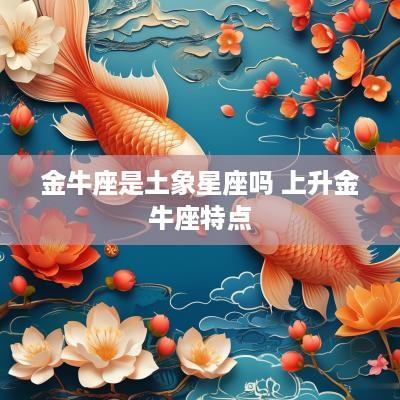 金牛座是土象星座吗 上升金牛座特点