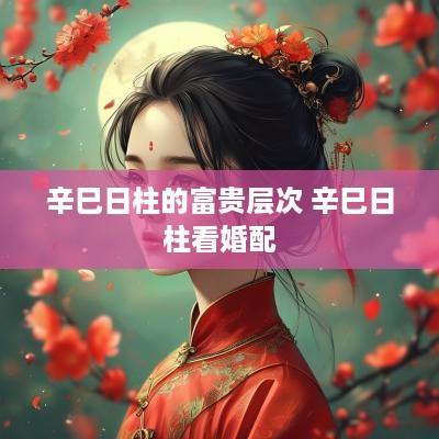 辛巳日柱的富贵层次 辛巳日柱看婚配