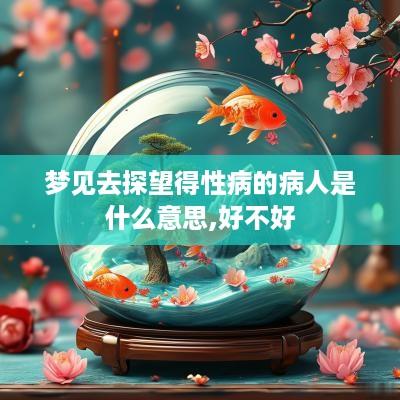 梦见去探望得性病的病人是什么意思,好不好