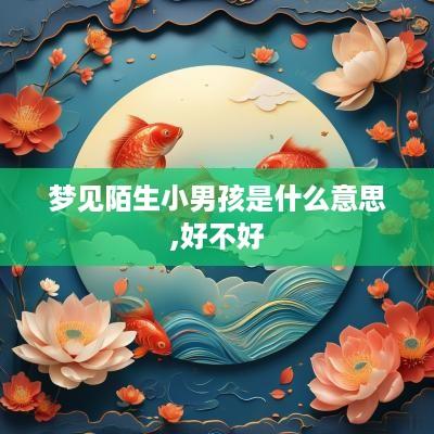 梦见陌生小男孩是什么意思,好不好