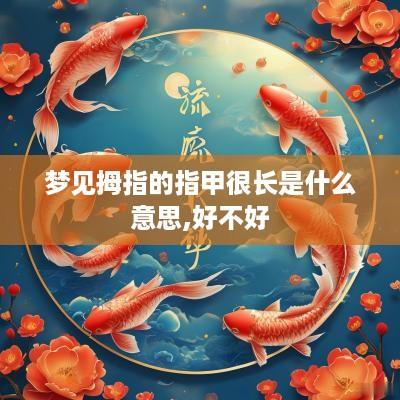 梦见拇指的指甲很长是什么意思,好不好