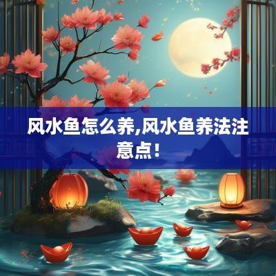 风水鱼怎么养,风水鱼养法注意点！