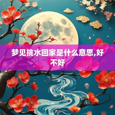 梦见挑水回家是什么意思,好不好