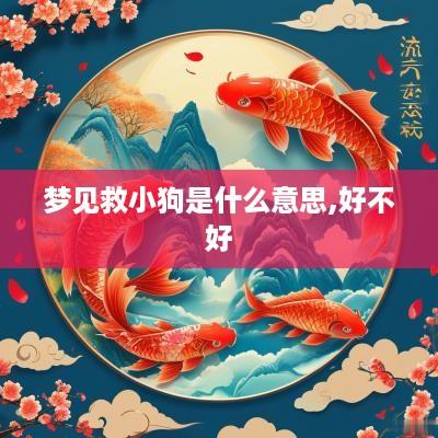 梦见救小狗是什么意思,好不好